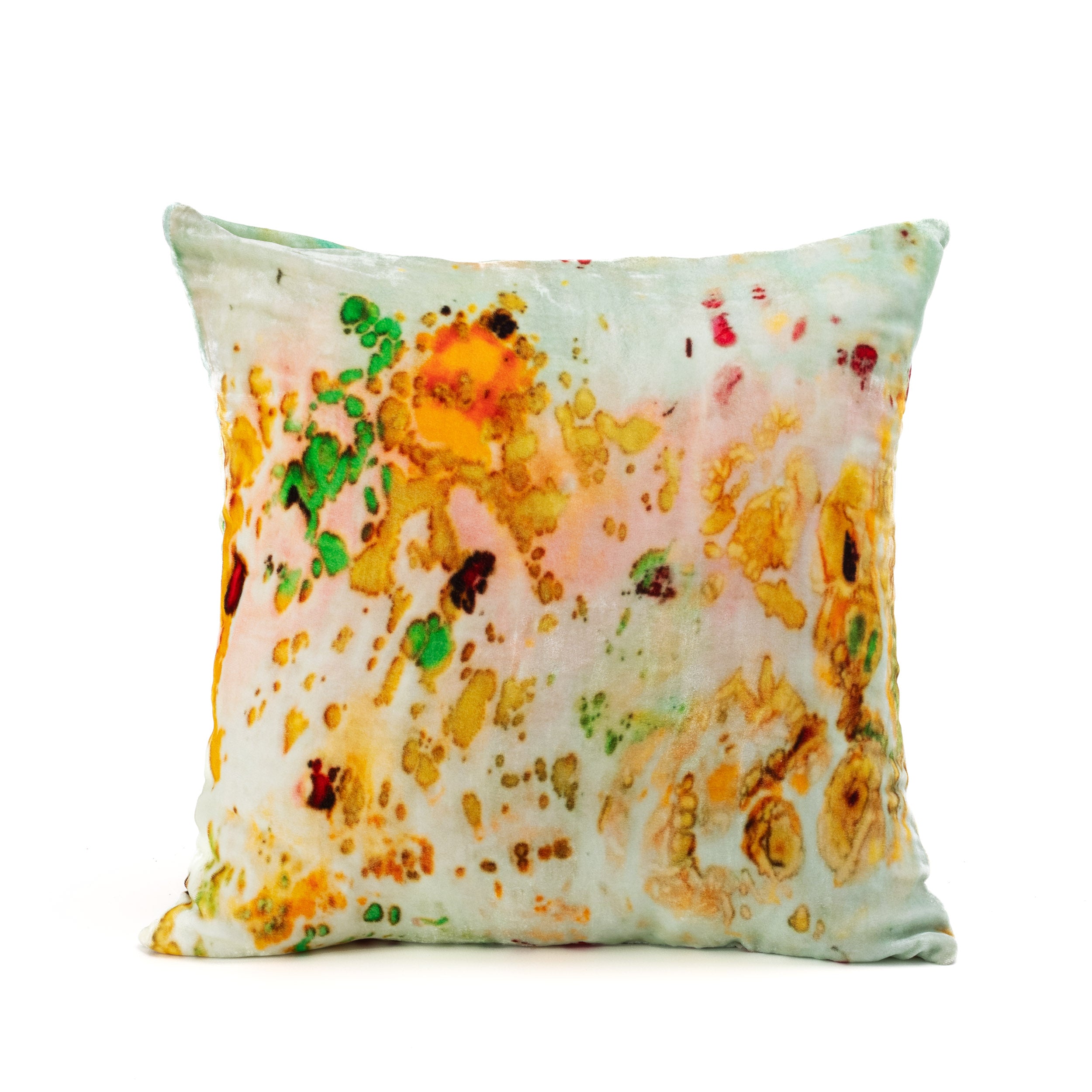 Sea Dream Cushion